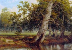 A Sunlit Wooded River Landscape