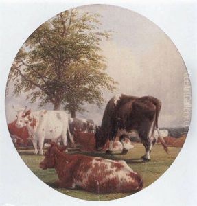 Cattle Beneath Trees