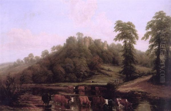 Cattle Watering Beneath Goodwich Castle On The Wye - view 1