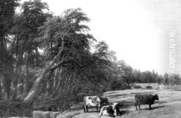 The Wood In The Jepson Gardens - view 1