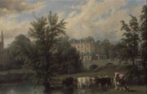 Teichlandschaft Mit Weidenden Kuhen Und Blick Auf Eine Englische Stadt