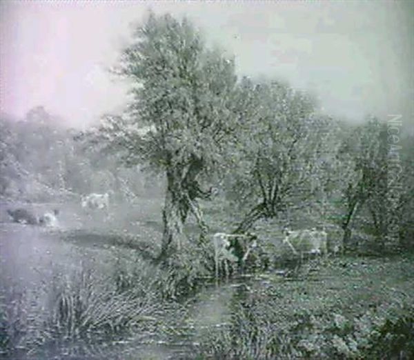 Cattle Watering In A River Meadow - view 1