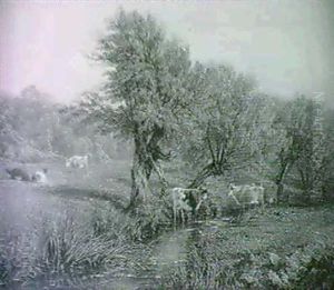Cattle Watering In A River Meadow by Thomas Baker