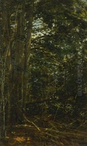 Deep In The Woods by William Bliss Baker