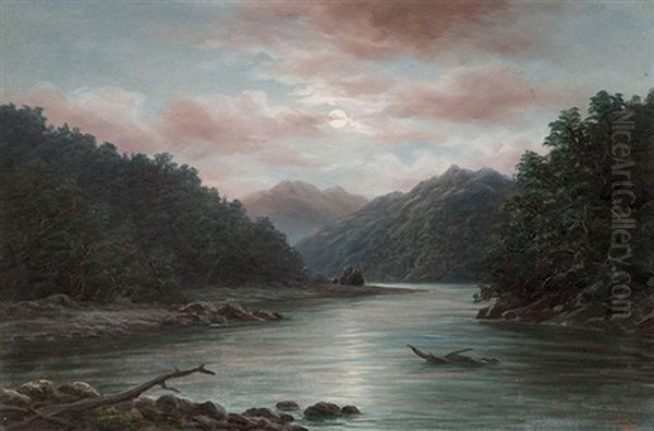 Karangarua River - view 1