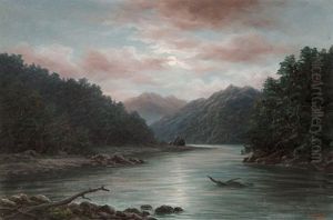 Karangarua River