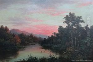 Waiau Creek, Waikato Waiau Creek, Waikato