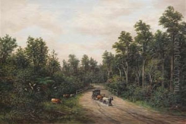 Awahuri Road, Feilding - view 1
