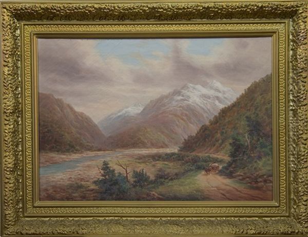 Mouth, Otira Gorge - view 1