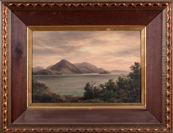 Pelorus Sounds - view 1