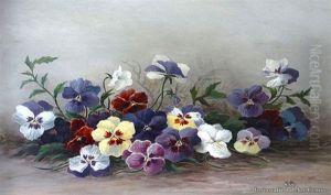 Pansies