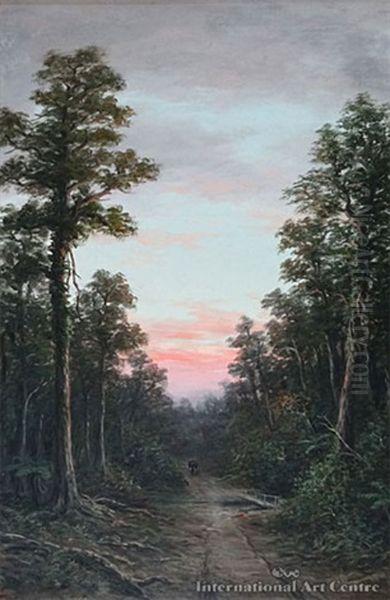 Kokokiri Road, West Coast - view 1