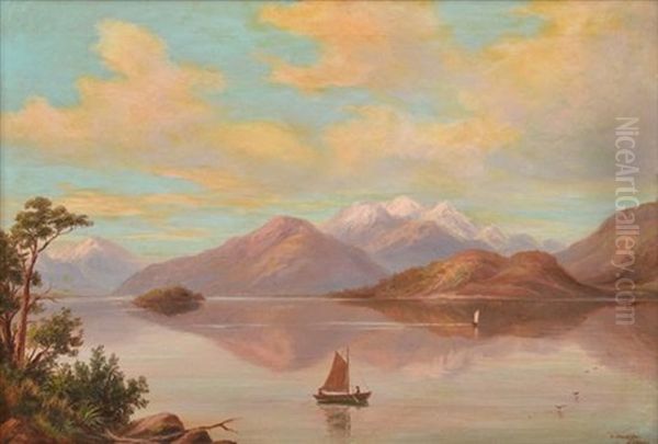 Lake Wakatipu, New Zealand - view 1