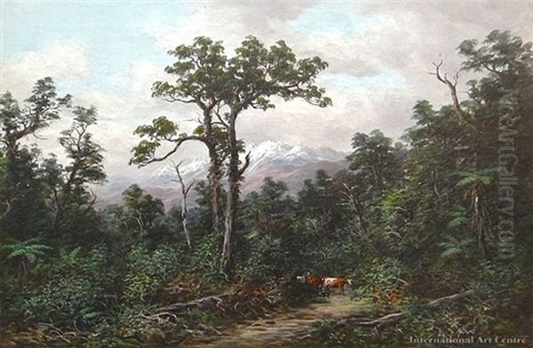 Nz Bush Scene - view 1