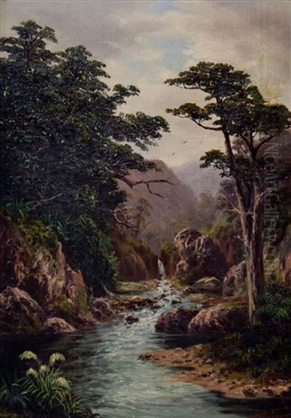 Stream In A Bush (hakuri Stream) - view 1