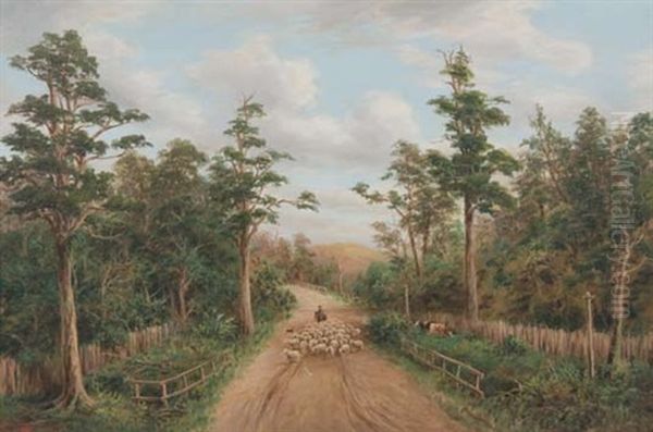 Fielding - Palmerston Rd - view 1
