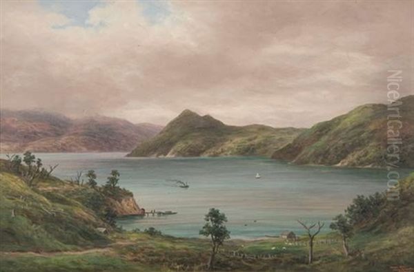 Torea Bay, Queen Charlotte Sounds - view 1