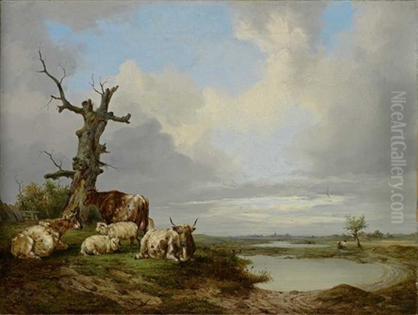 Weidelandschaft Mit Schafen Und Rindern - view 1