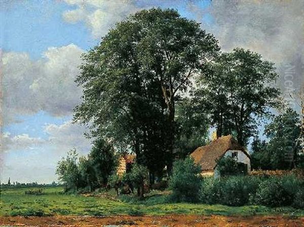 Landschaft Bei Drente - view 1