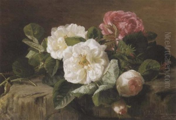 Pink And White Roses - view 1