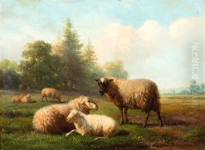 Schapen In Een Weide by Hendrik van de Sande Bakhuyzen