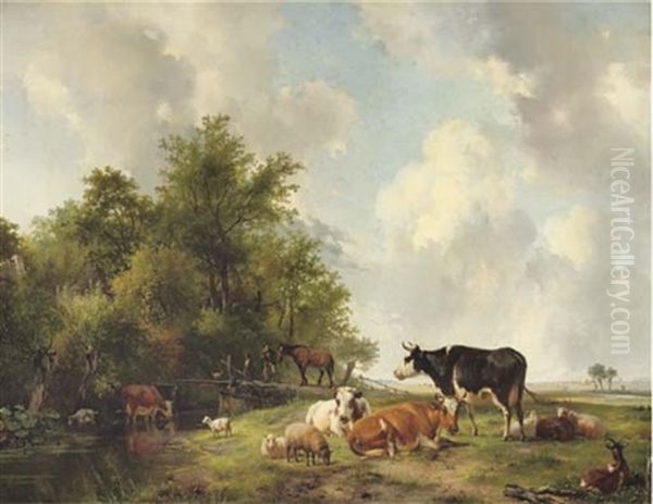 Cattle On The Edge Of A Forest In An Extensive Sunlit Landscape - view 1