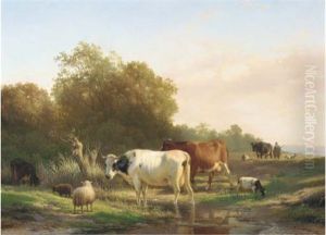 Cattle By A Pool Cattle By A Pool