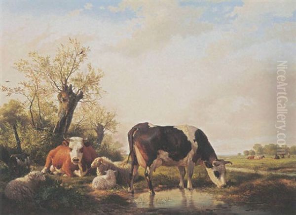 Cows, Sheep And A Goat In A Meadow - view 1