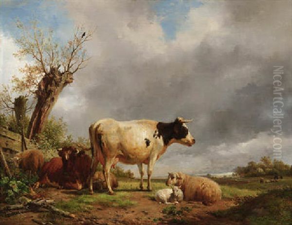Kuhe Und Schafe In Hollandischer Polderlandschaft - view 1