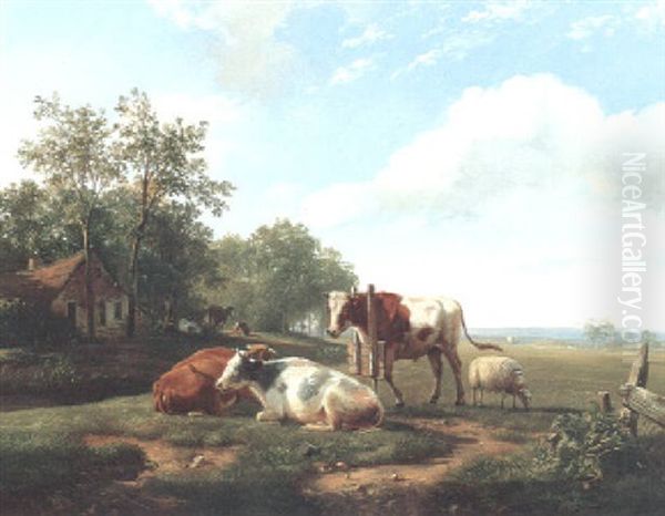 A Collared Bull And Cattle In A Wooded Landscape - view 1