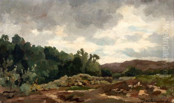 Bomen Langs Een Heideveld - view 1