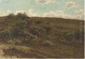 Shrubs On The Heath by Julius Jacobus Van De Sande Bakhuyzen
