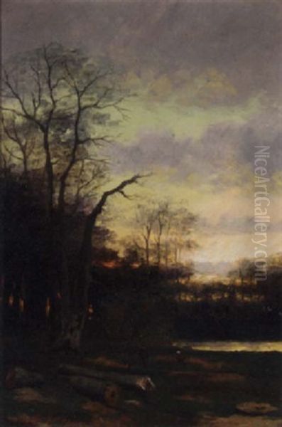 A Forest Landscape At Dusk - view 1