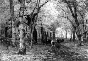 Cows On A Forest Path by Julius Jacobus Van De Sande Bakhuyzen