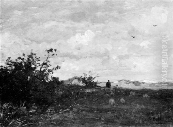 Dunenlandschaft In Nordholland - view 1
