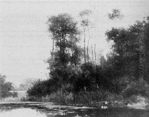 Teichlandschaft Mit Schilf Und Wasservogeln Teichlandschaft Mit Schilf Und Wasservogeln