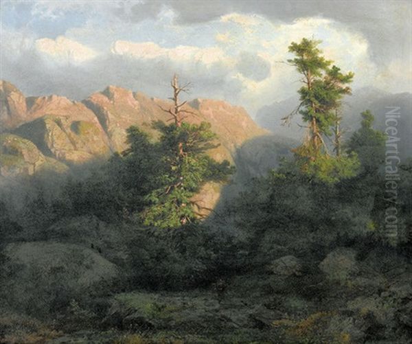 Gebirgslandschaft Mit Knorrigen Baumen - view 1