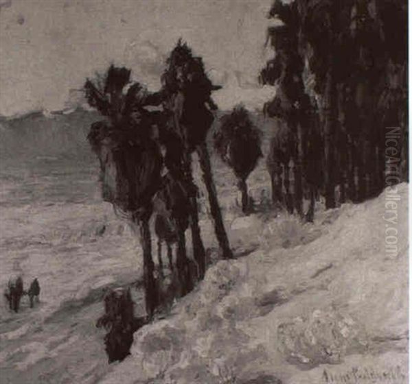 Desert Palms - view 1