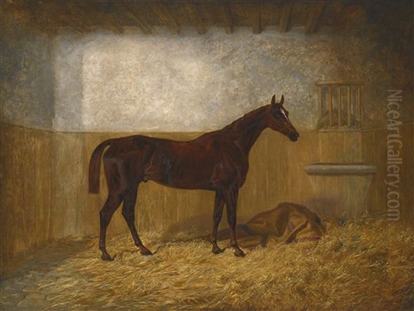 A Bay Racehorse In A Loose Box - view 1