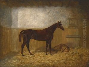 A Bay Racehorse In A Loose Box by James Walsham Baldock