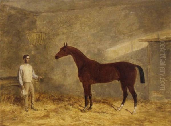 "bantam", A Brown Horse Held By H. Clarke In A Stable - view 1