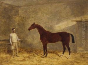 "bantam", A Brown Horse Held By H. Clarke In A Stable