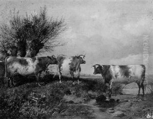 Cattle By A Stream Cattle By A Stream
