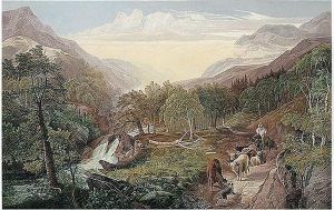 19th Century by S. Burroughs Adams