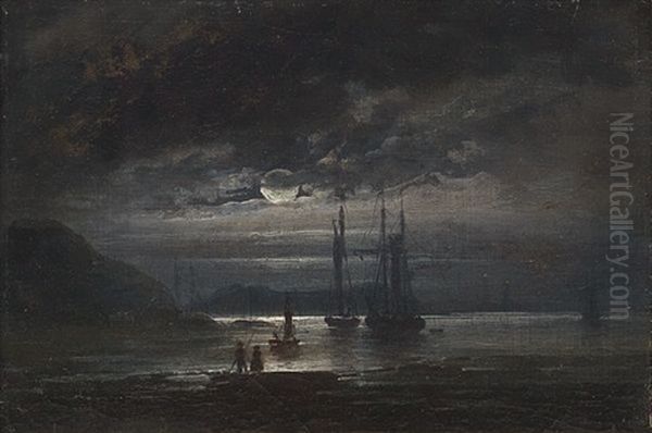 Maneskinnsaften Ved En Norsk Fjord - view 1