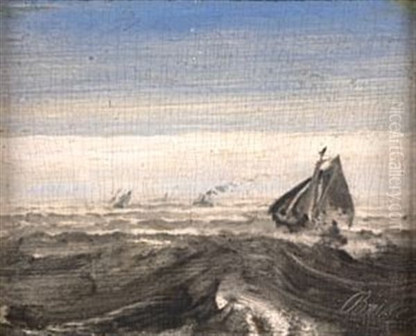 Marine - view 1