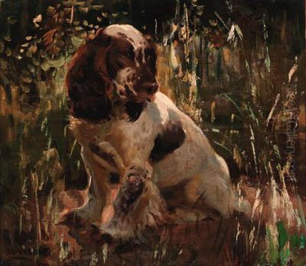 A Spaniel - view 1