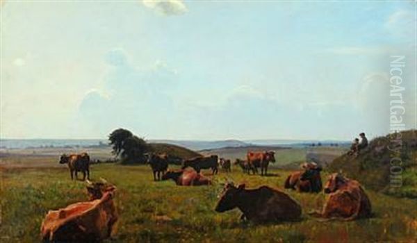 Cows In The Field - view 1