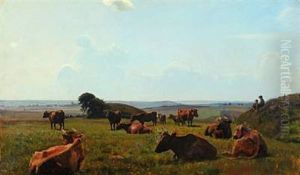 Cows In The Field