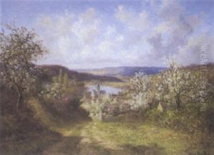 Arbres En Fleurs A L'entree Du Village